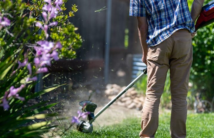 Gartenpflege in Kandel - Rasenmähen und professionelle Pflege von Grünflächen.